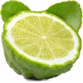Berqamot